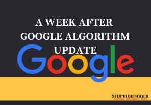 A-WEEK-AFTER-GOOGLE-ALGORITHM-UPDATE