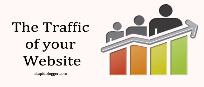 The Traffic of your Website
