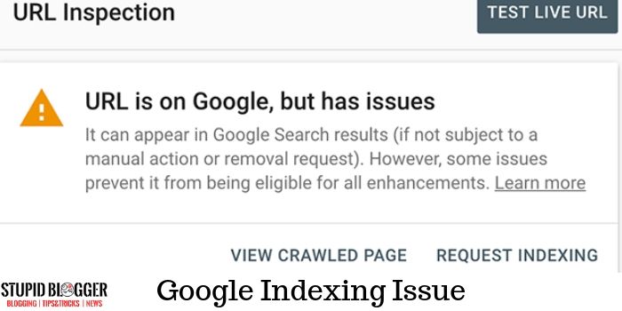Google Indexing Issue