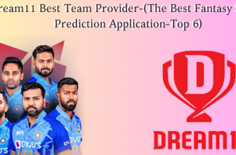 Dream11 Best Team Provider