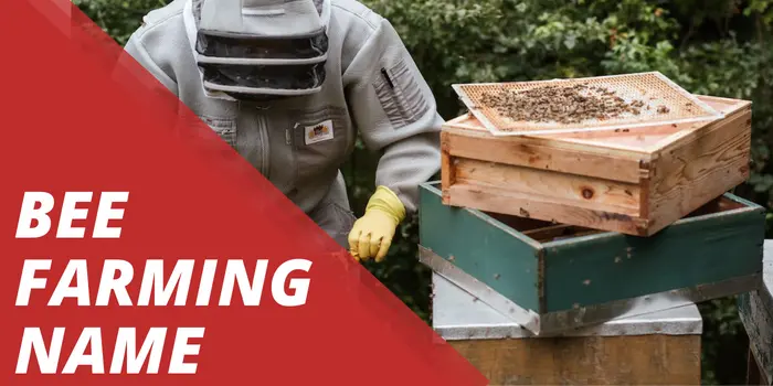Bee farming Name