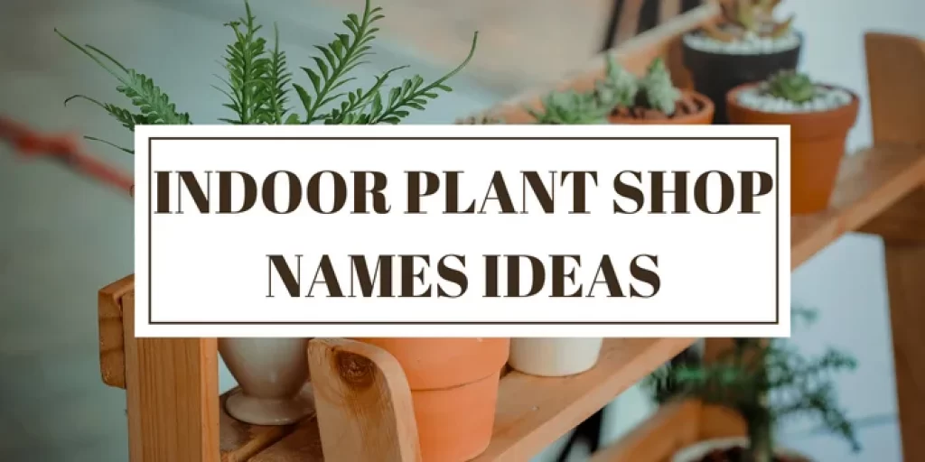 Indoor Plant Shop Names Ideas