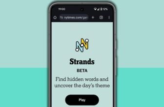 nyt strands